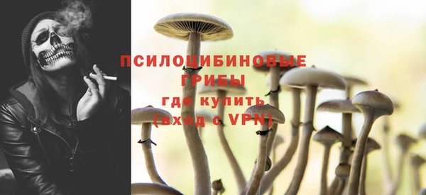 дурь Алзамай