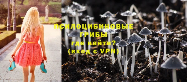 прущие крисы Алексин