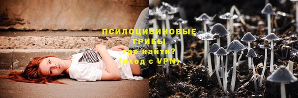 дурь Алзамай