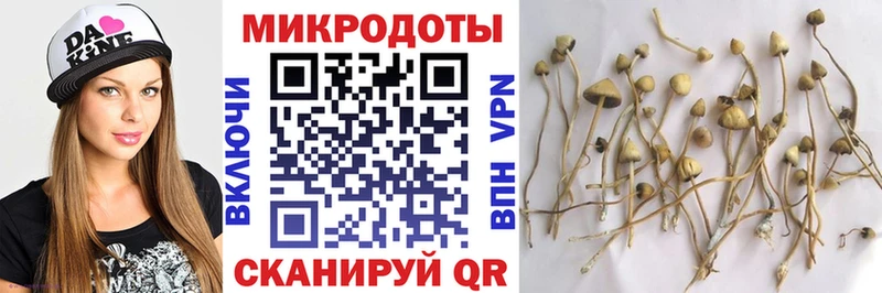 Псилоцибиновые грибы мухоморы Лабытнанги